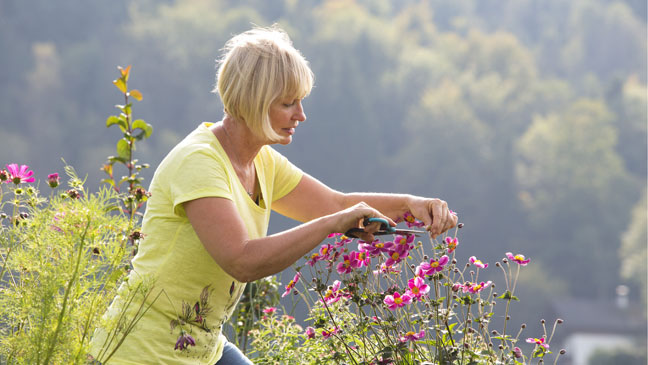 Reason for mulching your garden