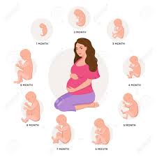 Pregnancy Signs and Symptoms