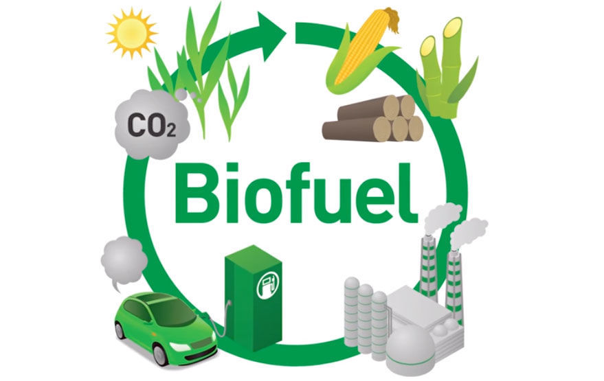 BioFuel