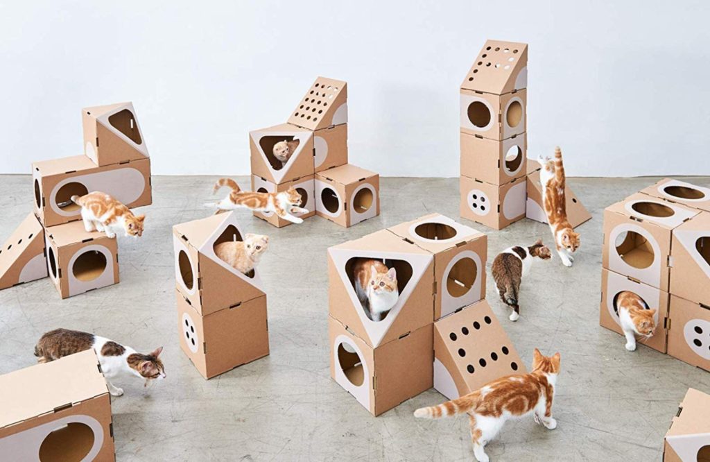 Here's Why Your Cat Loves Cardboard Boxes More Than You