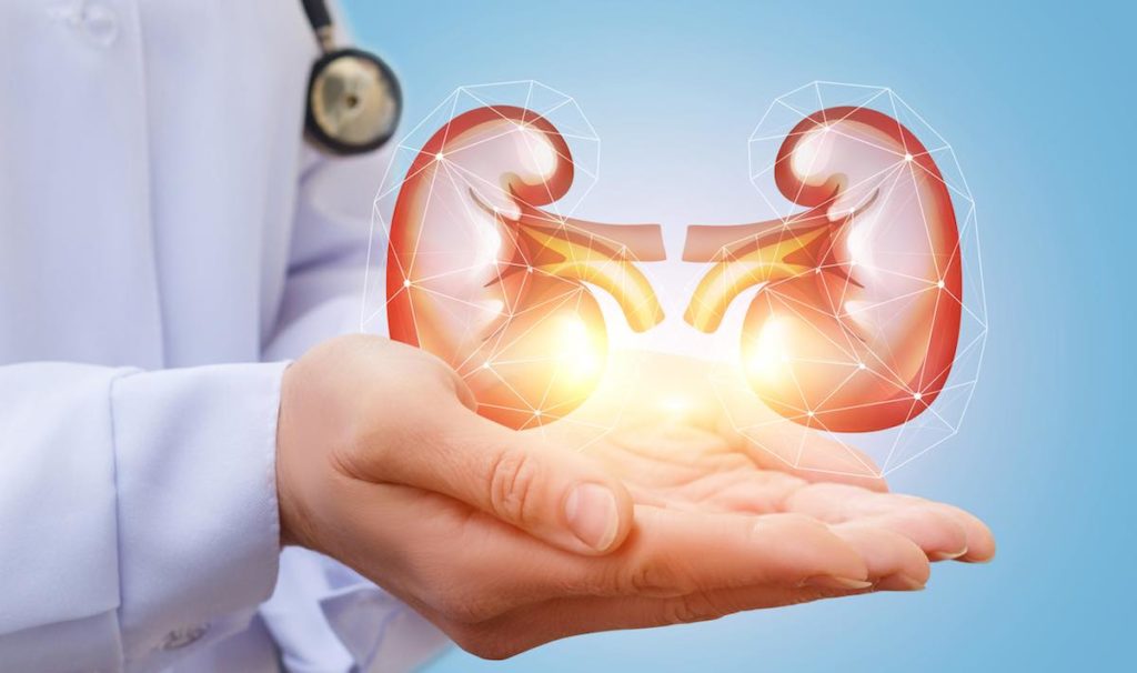 artificial kidney transplant in india