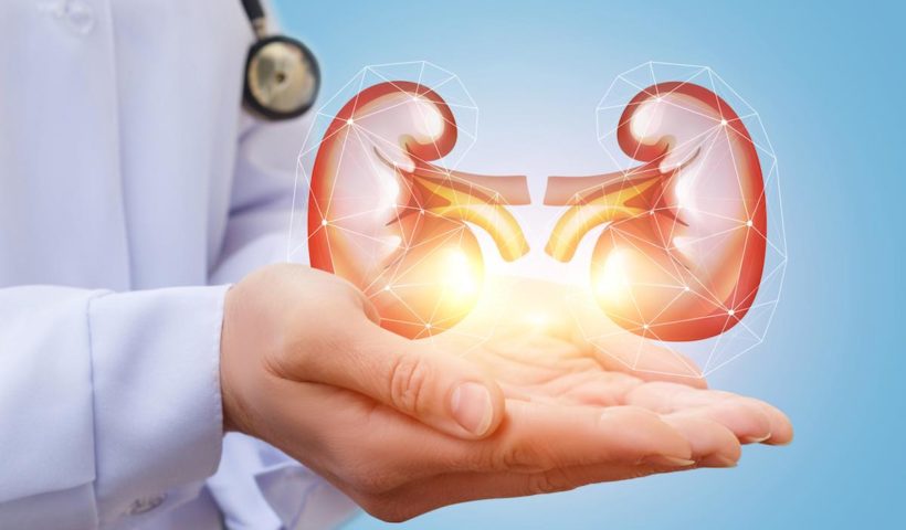 artificial kidney transplant in india