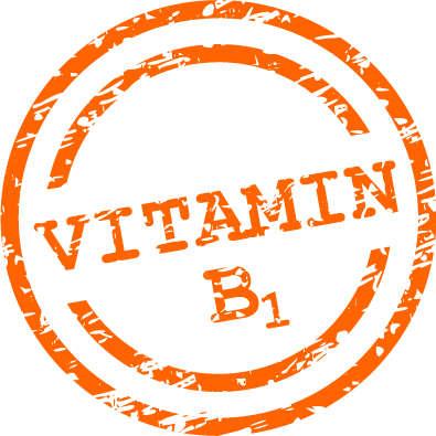  The first vitamin B1 arenteiro vitamin b1 The first vitamin