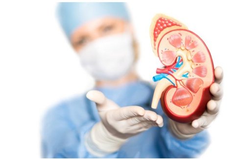 Medicine Cost after the Kidney Transplant in India;