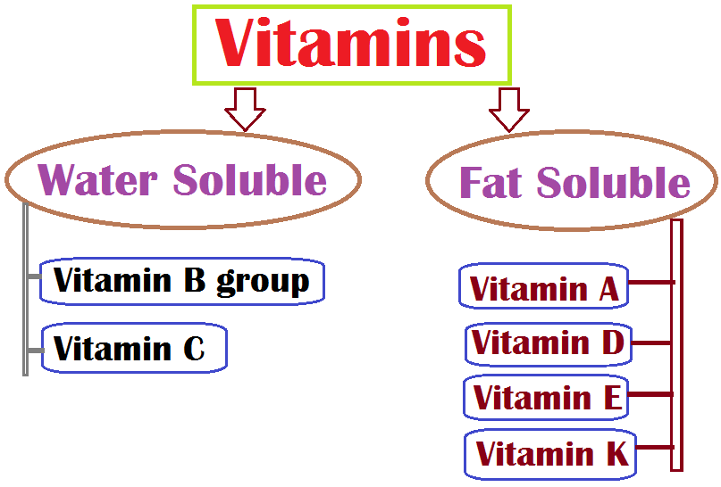 What are vitamins? Water Soluble vs. Fat Soluble Vitamins