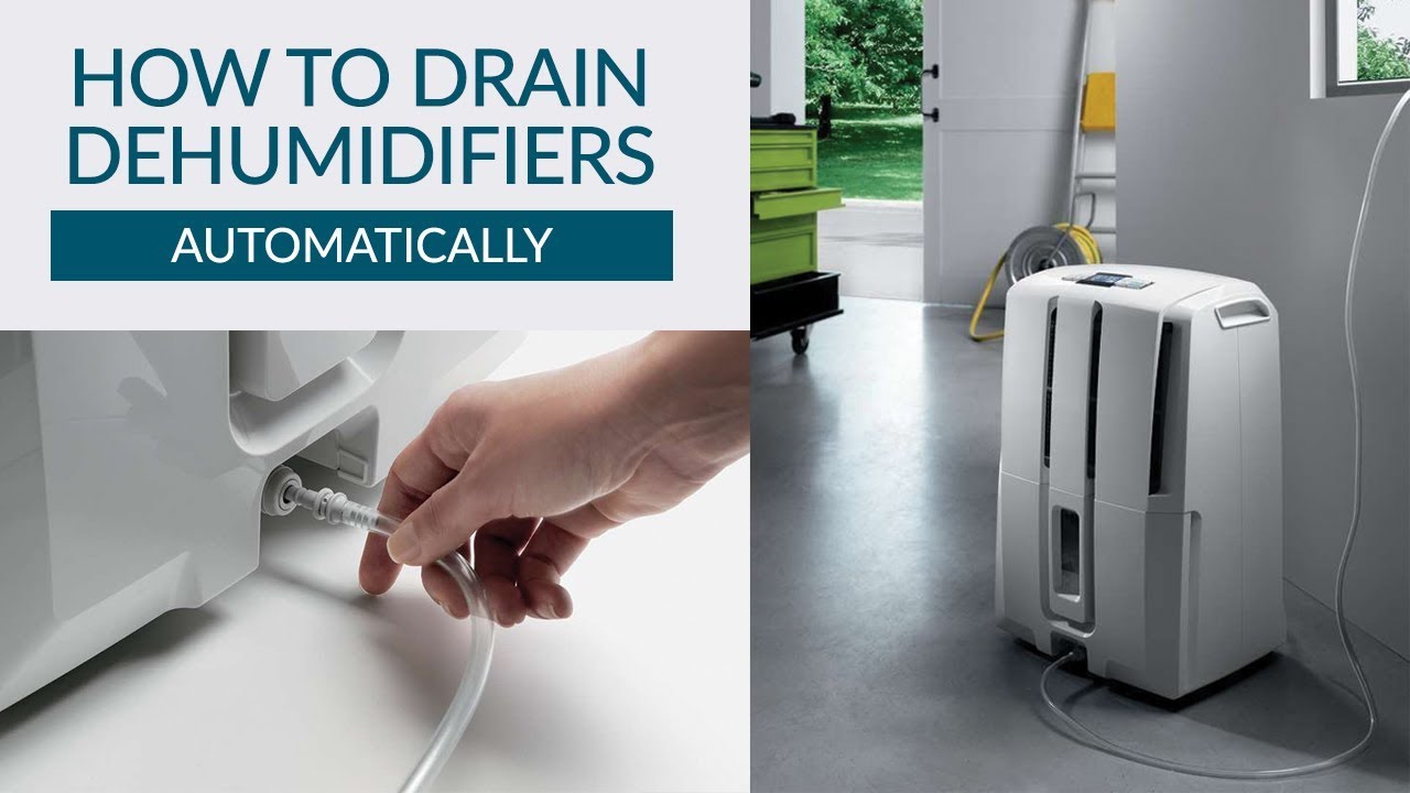 How to Drain a Dehumidifier Automatically | Sylvane - YouTube