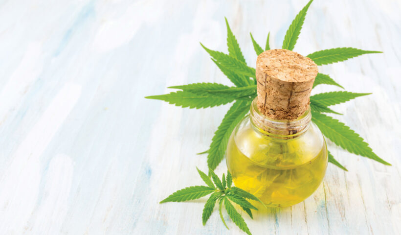 Buying CBD Oil For Your Pets