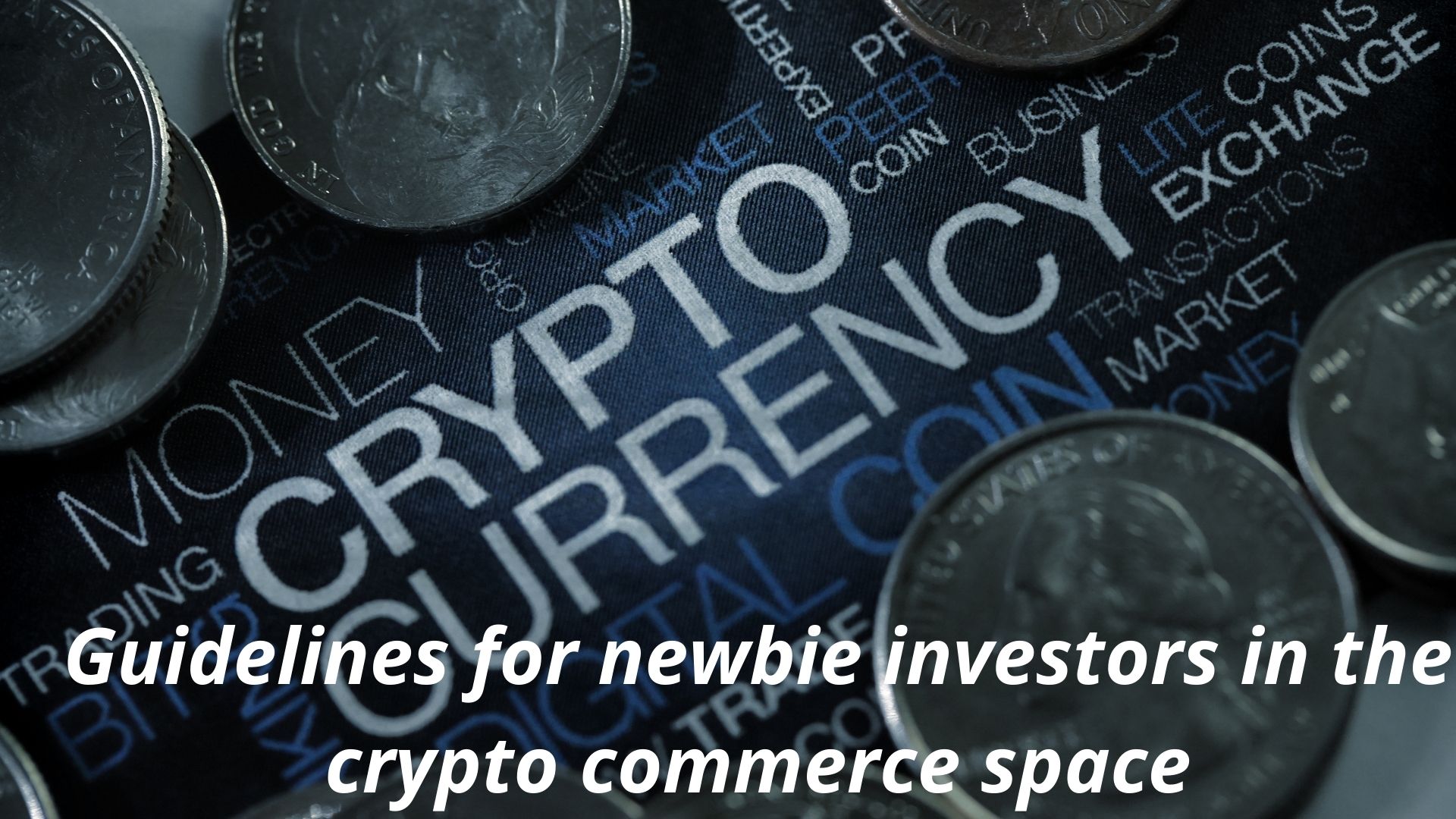 Guidelines for newbie investors in the crypto commerce space