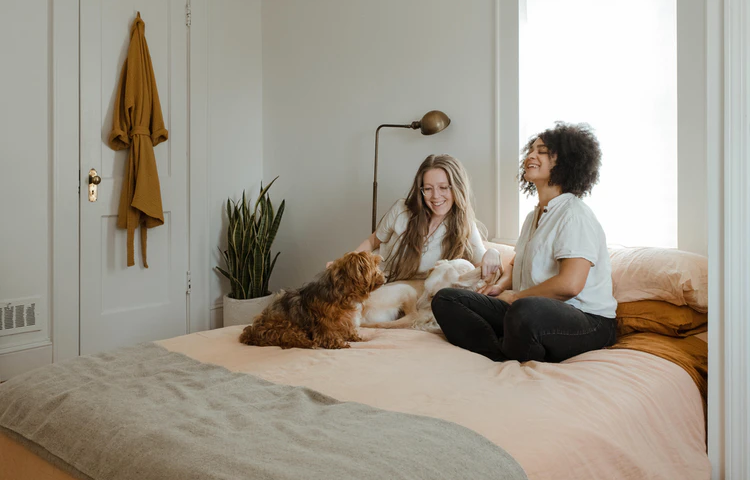 How To Make Your Dog Feel Cozy in Your Home - Arenteiro.com