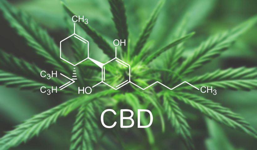 The Top Tips for Choosing the Right CBD Product To Meet Your Needs