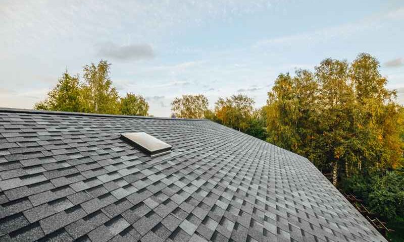 What a Homeowner Should Know About Their Roof