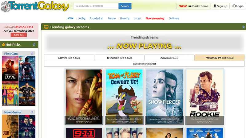 How to Download Movies From Torrent Galaxy Proxy Website?