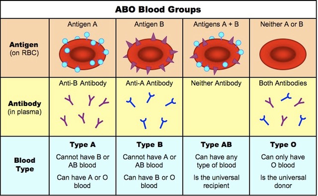 Blood groups are a classification system based on the presence