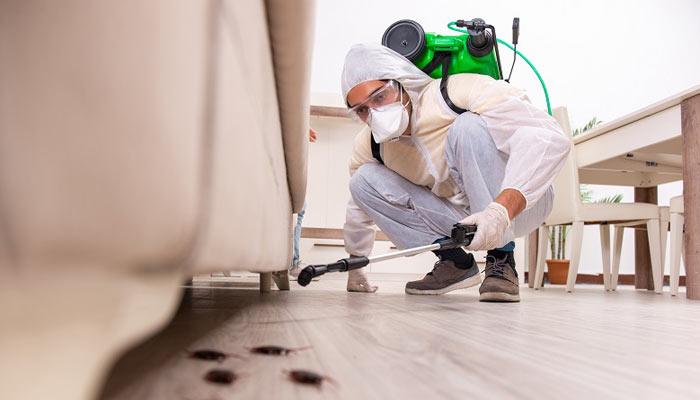 7 Tips on Choosing the Best Local Pest Control Company