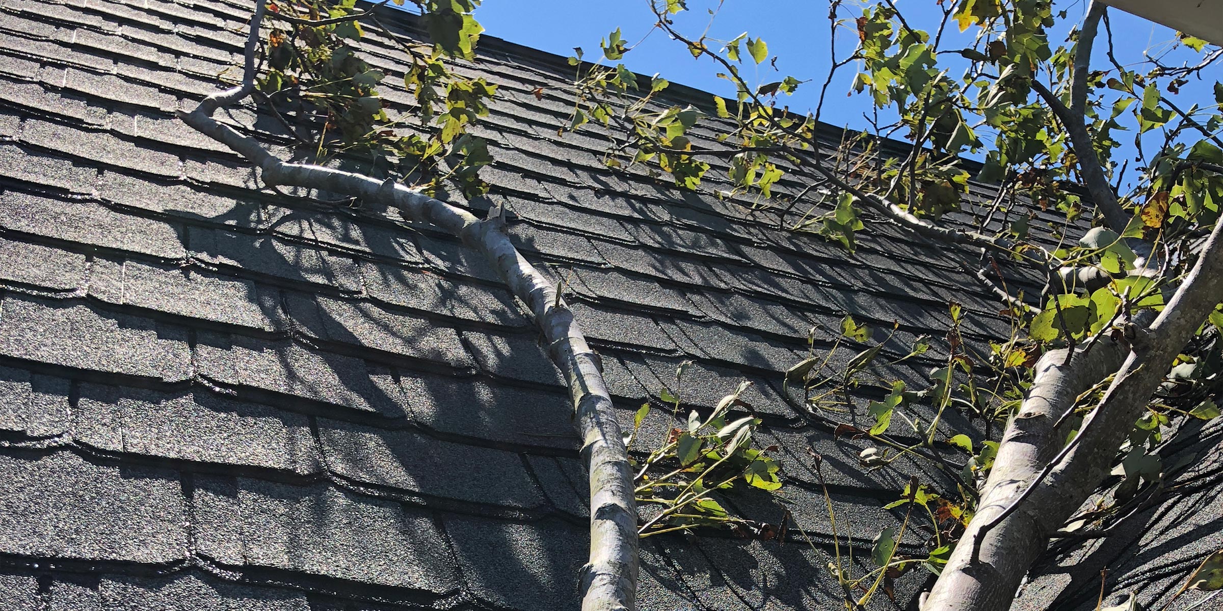 How to Safely Identify Roof Damage After a Storm