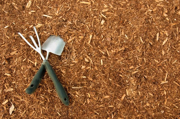 how to replace mulch