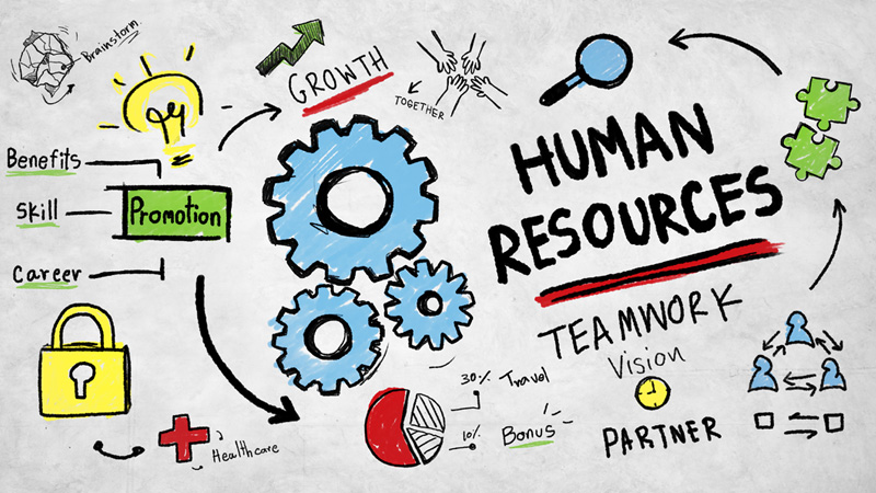 A Complete Guide to Human Resources Courses Online