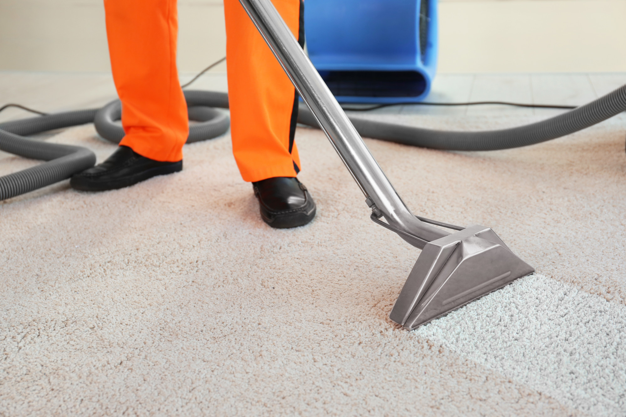 Dirty Carpet Alert: Signs That Your Carpets Need Cleaning