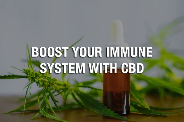 How CBD Can Help Strengthen Your Immune System?