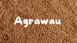 Agrawau