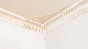 What a Water Stain on Your Ceiling Means and When You Need Roof Leak Repair