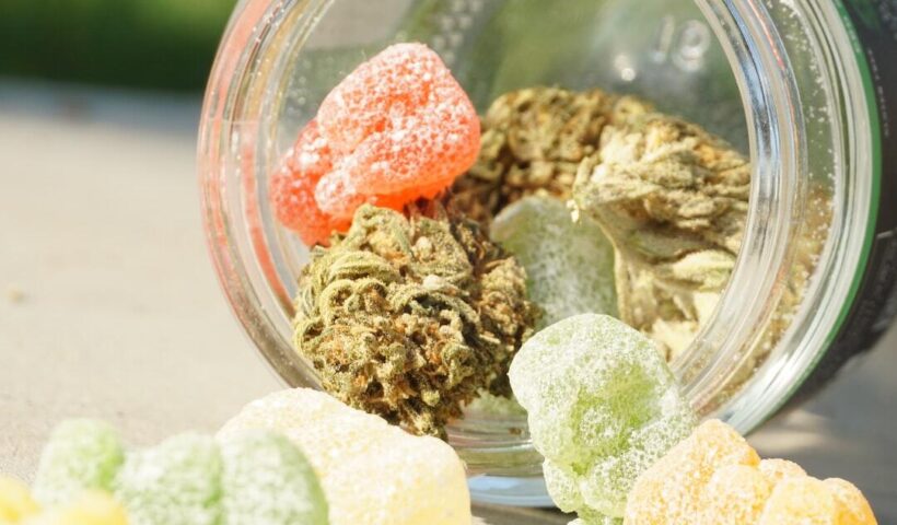 How to Choose the Right Cannabis Product for Your Lifestyle